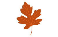 YK/PK Fun Fall Activities