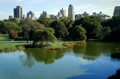 central-park2